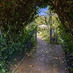 Chianti Chicco, Piscina Privata, Ampio Giardino, Bbq E Parcheggio Villa *
